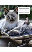 Composition Book 100 Sheets/200 Pages/8.5 X 11 In. Wide Ruled/ Cats on Skateboard: Writing Notebook Lined Page Book Soft Cover Plain Journal Cats Kitten Sports Recreations Skateboarding Bulldog