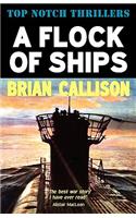 A Flock of Ships