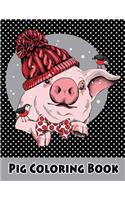 Pig Coloring Book