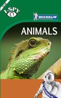 I-Spy Animals