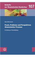 Praxis, Probleme Und Perspektiven Okumenischer Prozesse: Ein Beitrag Zur Theoriebildung