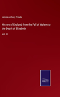History of England from the Fall of Wolsey to the Death of Elizabeth