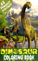 Dinosaur Coloring Book