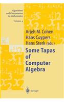 Some Tapas of Computer Algebra