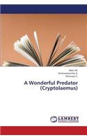 Wonderful Predator (Cryptolaemus)