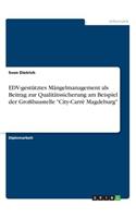 EDV-gestütztes Mängelmanagement als Beitrag zur Qualitätssicherung am Beispiel der Großbaustelle City-Carrè Magdeburg