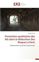 Promotion Qualitative Des Sig Dans La R�duction Des Risques � Paris