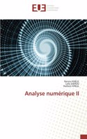 Analyse numérique II