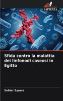 Sfida contro la malattia dei linfonodi caseosi in Egitto
