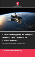 Curto e inteligente na deteção remota