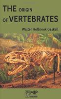 Orgin of Vertebrates