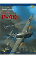 Curtiss P-40 Vol. I