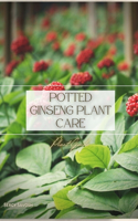 Potted Ginseng Plant Care