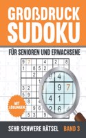 Großdruck Sudoku Für Senioren