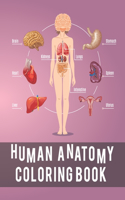 Human Anatomy Coloring Book