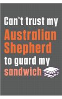 Can't trust my Australian Shepherd to guard my sandwich: For Australian Shepherd Dog Breed Fans