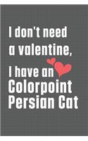 I don't need a valentine, I have a Colorpoint Persian Cat
