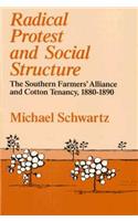 Radical Protest and Social Structure