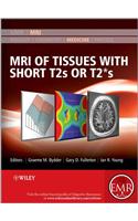 MRI of Tissues with Short T2s or T2*s