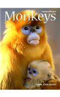 Monkeys