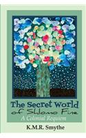 Secret World of Shlomo Fine