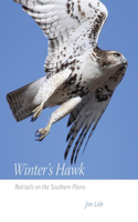 Winter's Hawk: Red-tails on the Southern Plains(English)