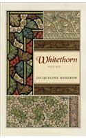Whitethorn