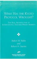 What has the KYOTO PROCTOCOL Wrought?