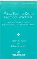 What has the KYOTO PROCTOCOL Wrought?
