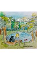 A Bag of Secrets