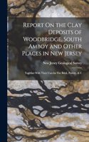 Report On the Clay Deposits of Woodbridge, South Amboy and Other Places in New Jersey: Together With Their Uses for Fire Brick, Pottery, & C