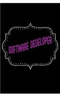 Software developer