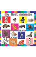 My first animals