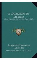 Campaign in Mexico
