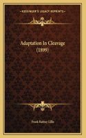 Adaptation In Cleavage (1899)