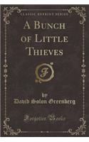 A Bunch of Little Thieves (Classic Reprint)
