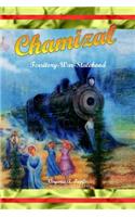 Chamizal...