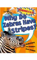 Why Do Zebras Have Stripes? Questions and Answers About Animals