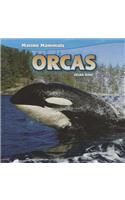 Orcas: (Marine Mammals)