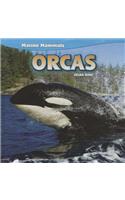 Orcas