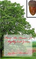 From An Acorn... A Mighty Oak Grows