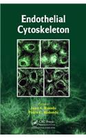 Endothelial Cytoskeleton