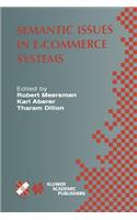 Semantic Issues in E-Commerce Systems