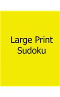 Large Print Sudoku