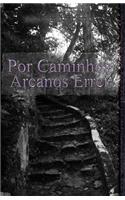 Por caminhos arcanos errei