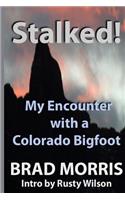 Stalked! My Encounter with a Colorado Bigfoot