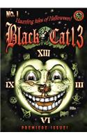Black Cat 13