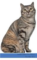 Kurilian Bobtail Cat Presents