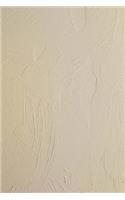 Journal Stucco Ceiling Off White: (Notebook, Diary, Blank Book)