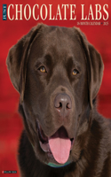 Chocolate Labs 2026 12 X 12 Wall Calendar